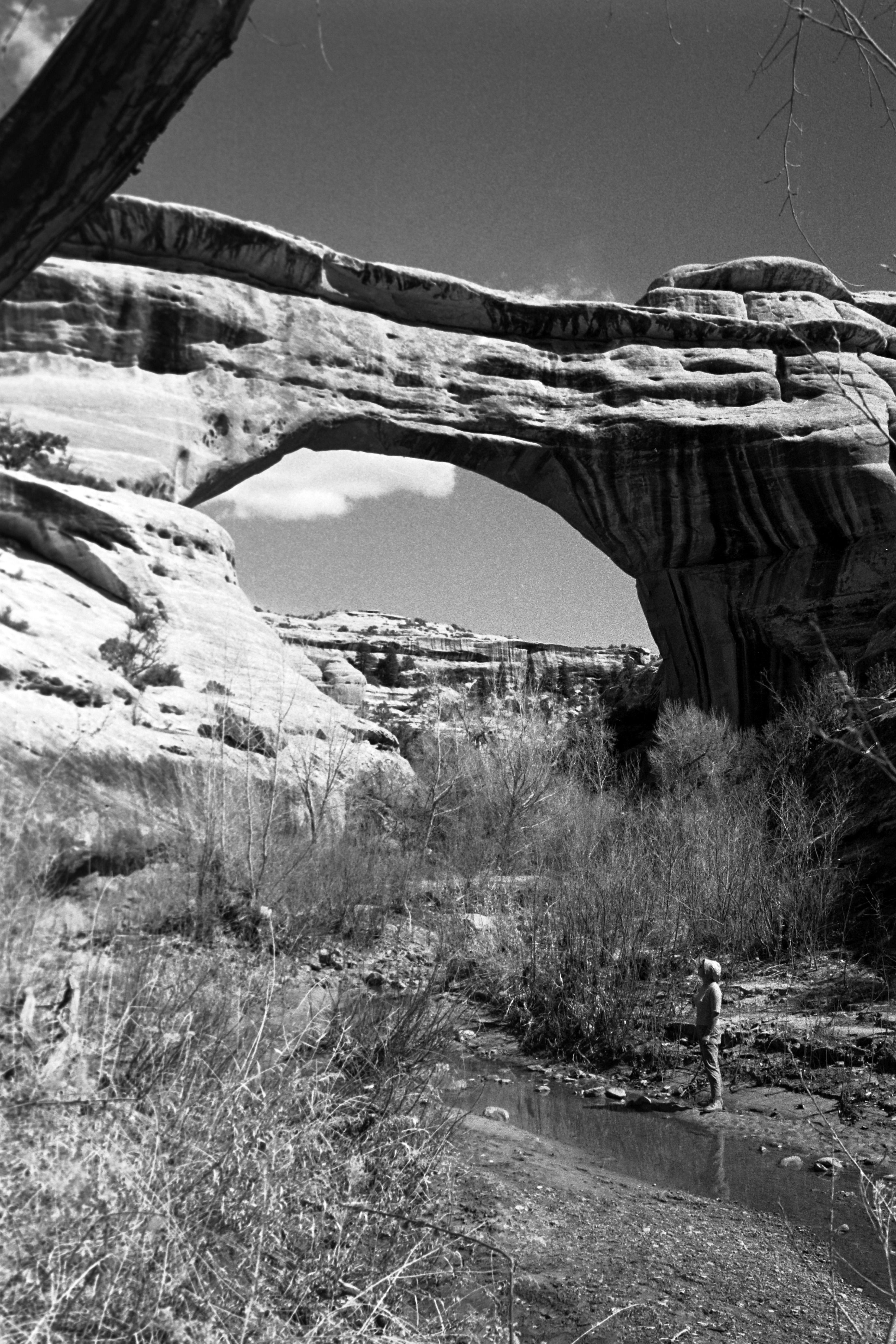 Erich Andres Landscape Photograph – Natural Bridges National Park, National Park, 1968