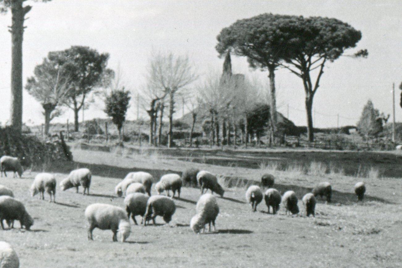 Rome - Via Appia 1954 - Photograph by Erich Andres