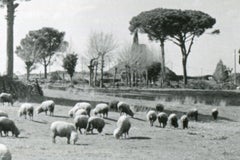 Rome - Via Appia 1954