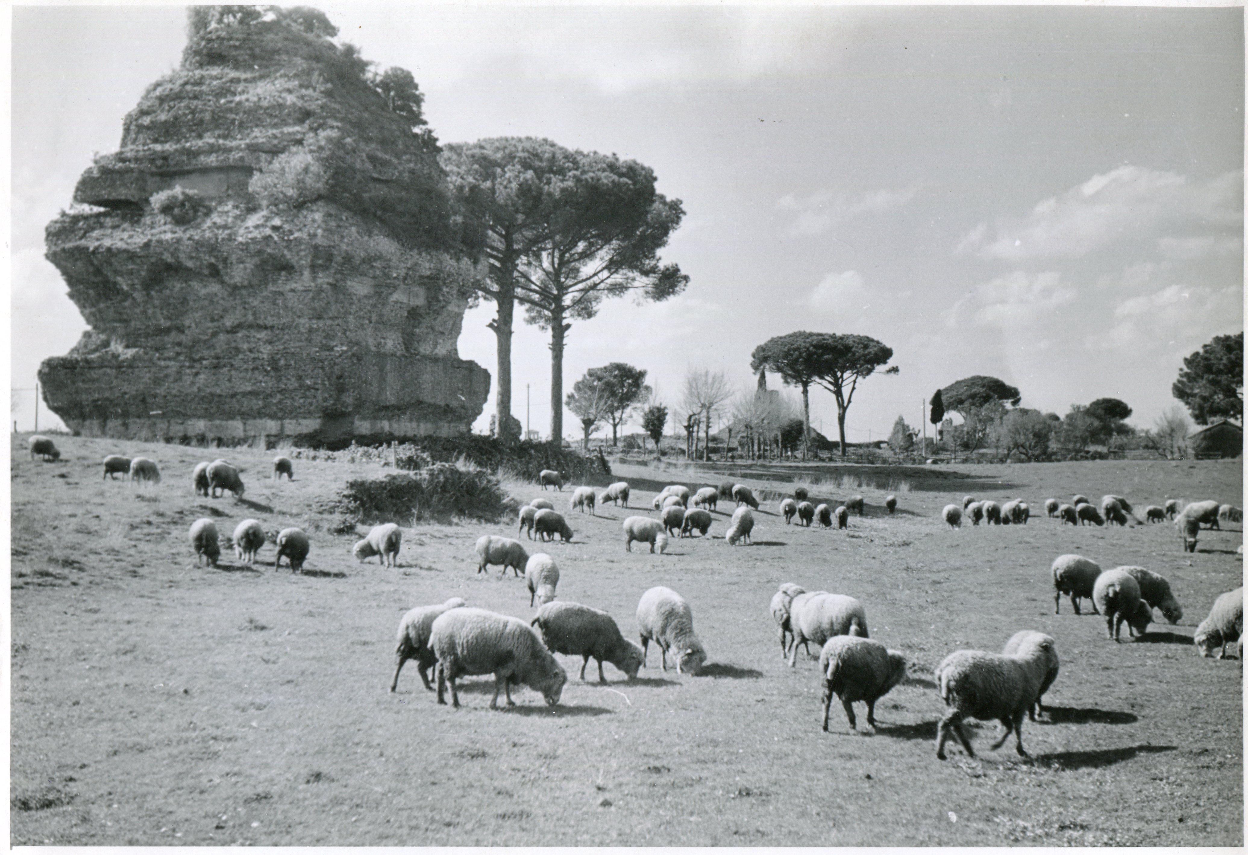 Erich Andres Black and White Photograph - Rome - Via Appia 1954