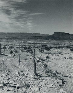 Valley, Texas, Photographie en noir et blanc, USA 1960, 16, 3 x 23, 1 cm