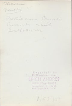 Venise - Canale Grande avec le pont du Rialto