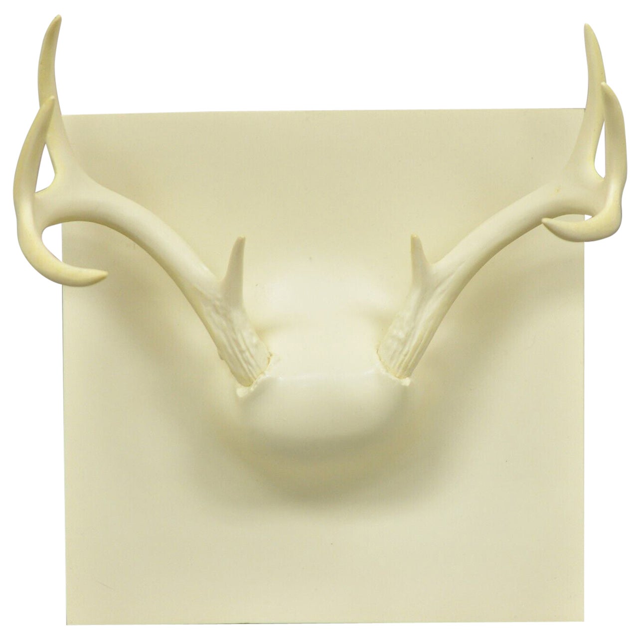 Erich Ginder White Cast Ghost Antler Coat Rack Mid Century Modern Wall Art