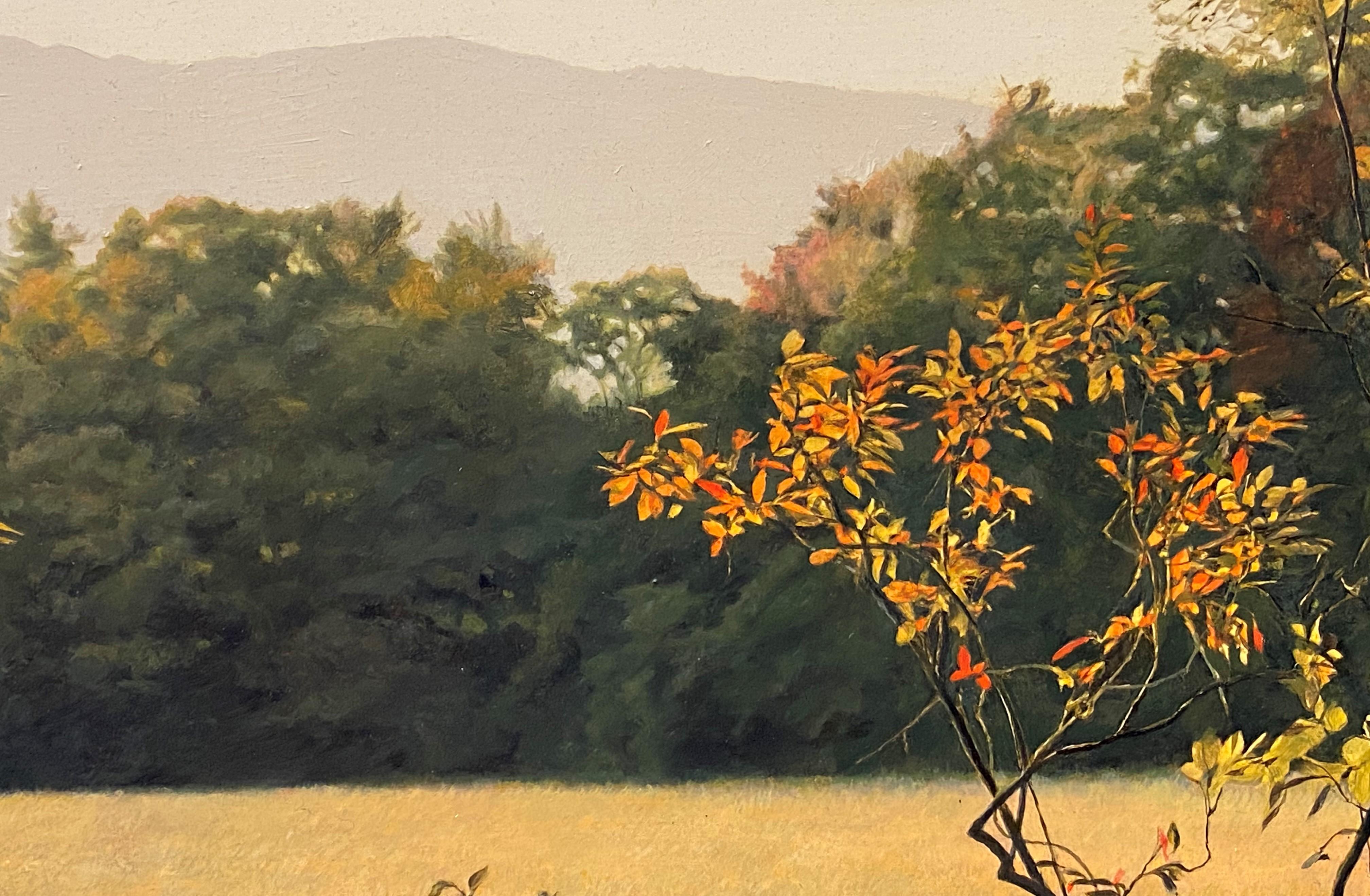 Après-midi doré, Mont Monadnock, NH - Réalisme Painting par Erick Ingraham