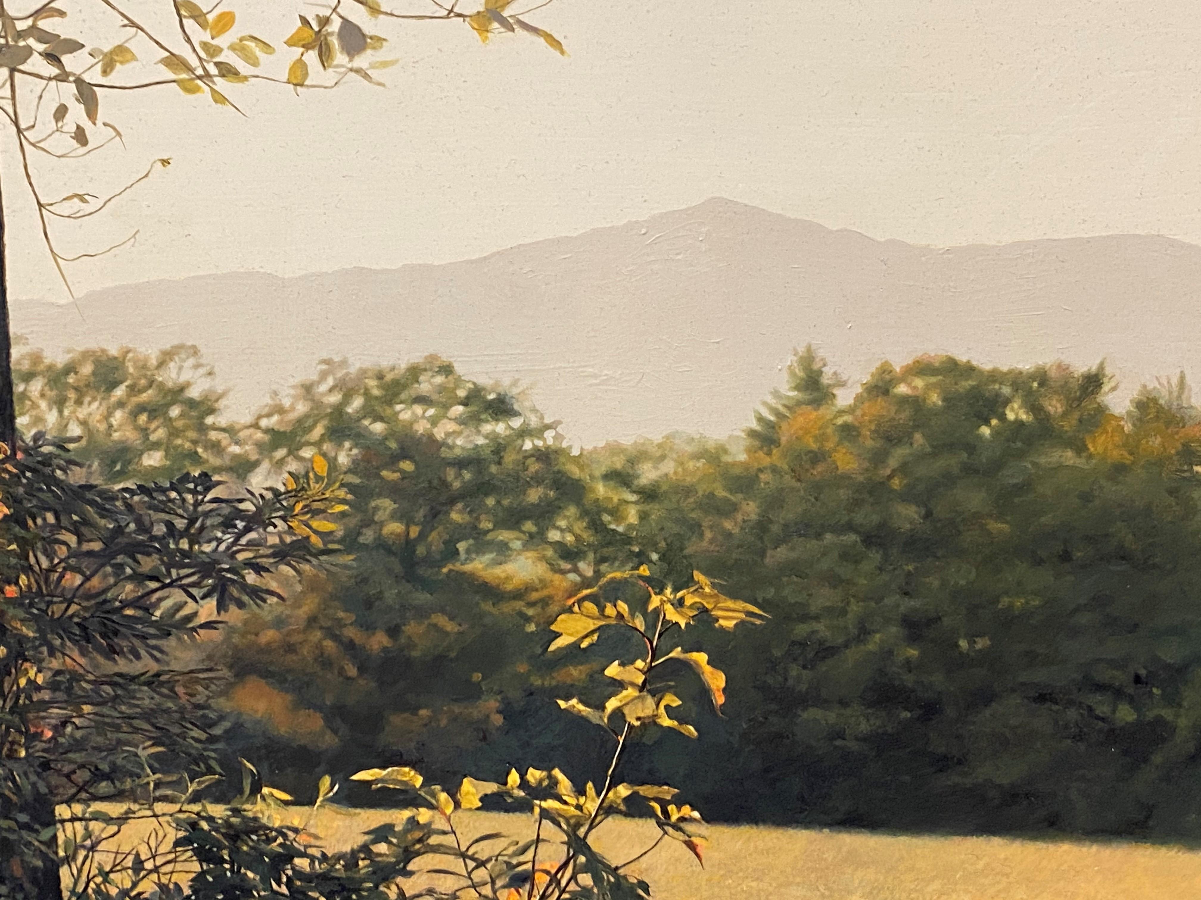 Après-midi doré, Mont Monadnock, NH - Marron Landscape Painting par Erick Ingraham