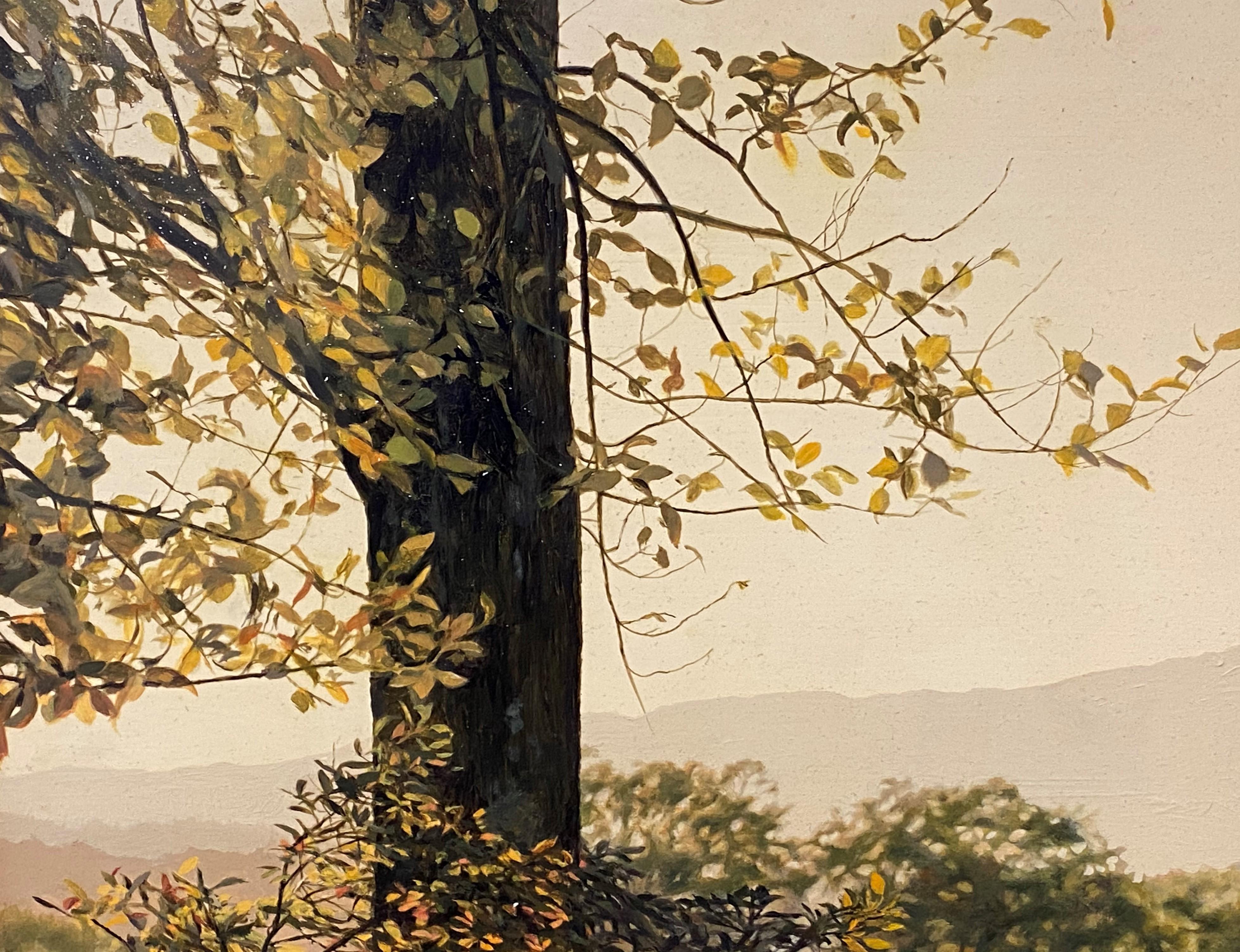 Golden Afternoon, Mount Monadnock, NH - Brown Landscape Painting by Erick Ingraham