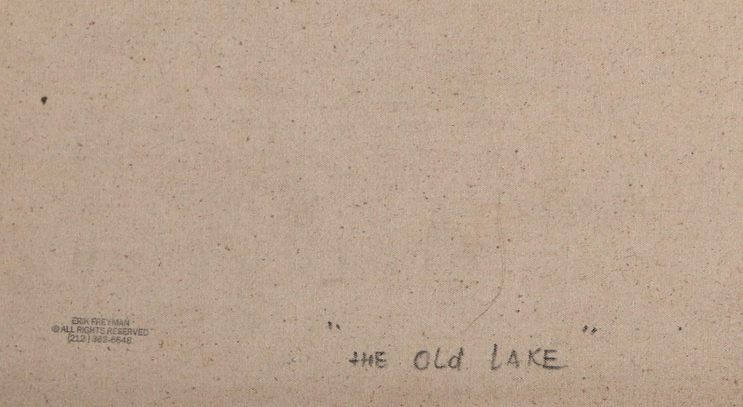 El viejo lago, pintura acrílica sobre lienzo Paisaje de Erik Freyman en venta 3
