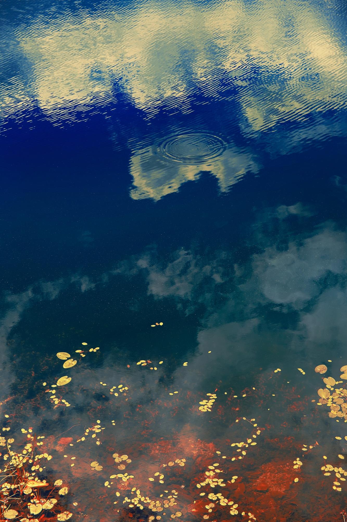 Erik MADIGAN HECK (*1983, United States)
Clouds in Pond, 2019
Chomogenic print
Sheet 152.4 x 101.6 cm (60 x 40 in.)
Edition of 9 plus 2 artist's proofs (#2/9)
print only

Originally from Excelsior, Minnesota, Erik Madigan Heck (*1983) is one of the