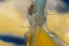 Not titled yet – Erik Madigan Heck, Fashion, Human, Art, Dress
