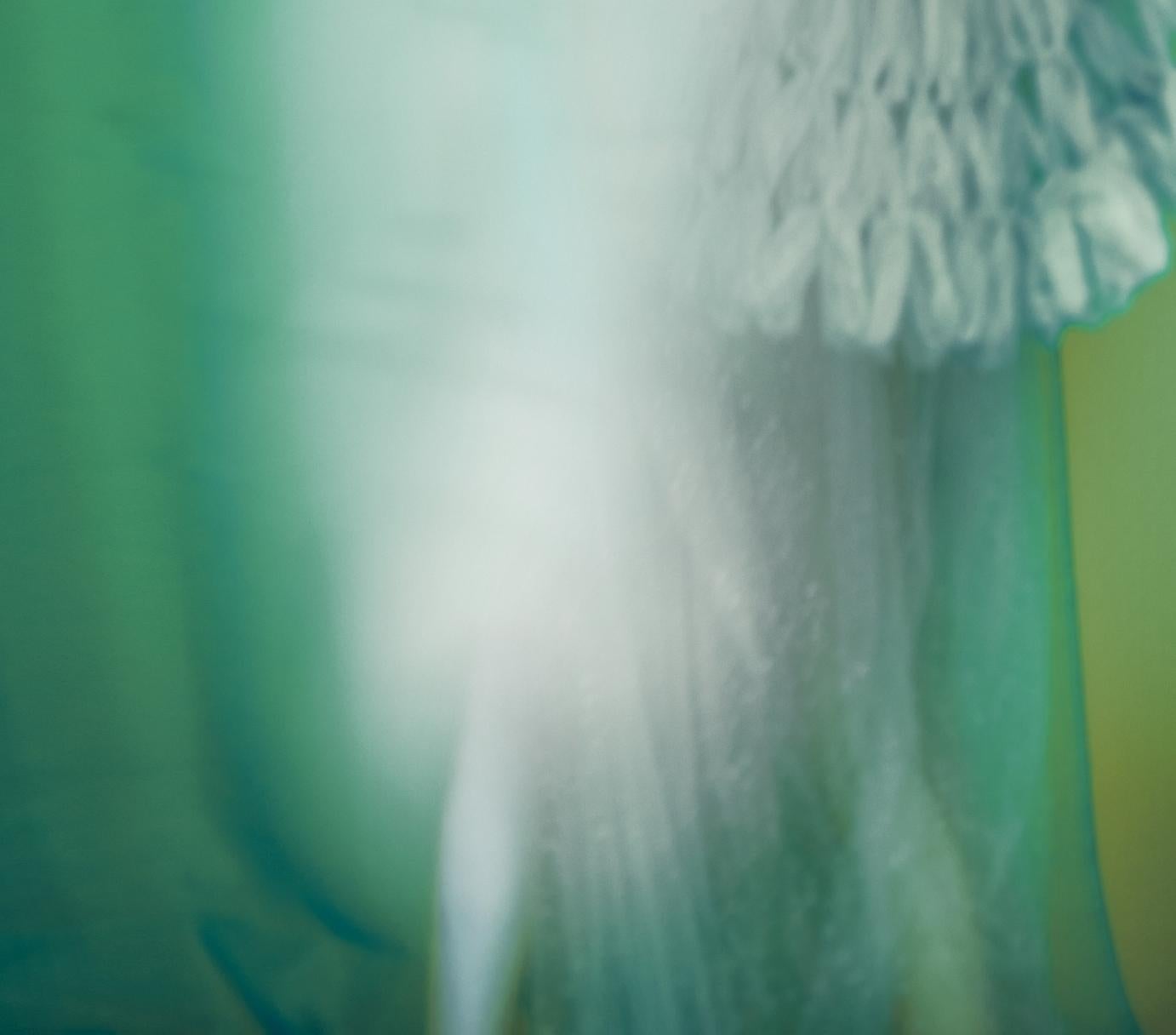 Not titled yet – Erik Madigan Heck, Fashion, Human, Art, Dress For Sale 2