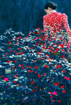Not Titled Yet – Erik Madigan Heck, Fashion, Woman, Landscape, Nature, Dress