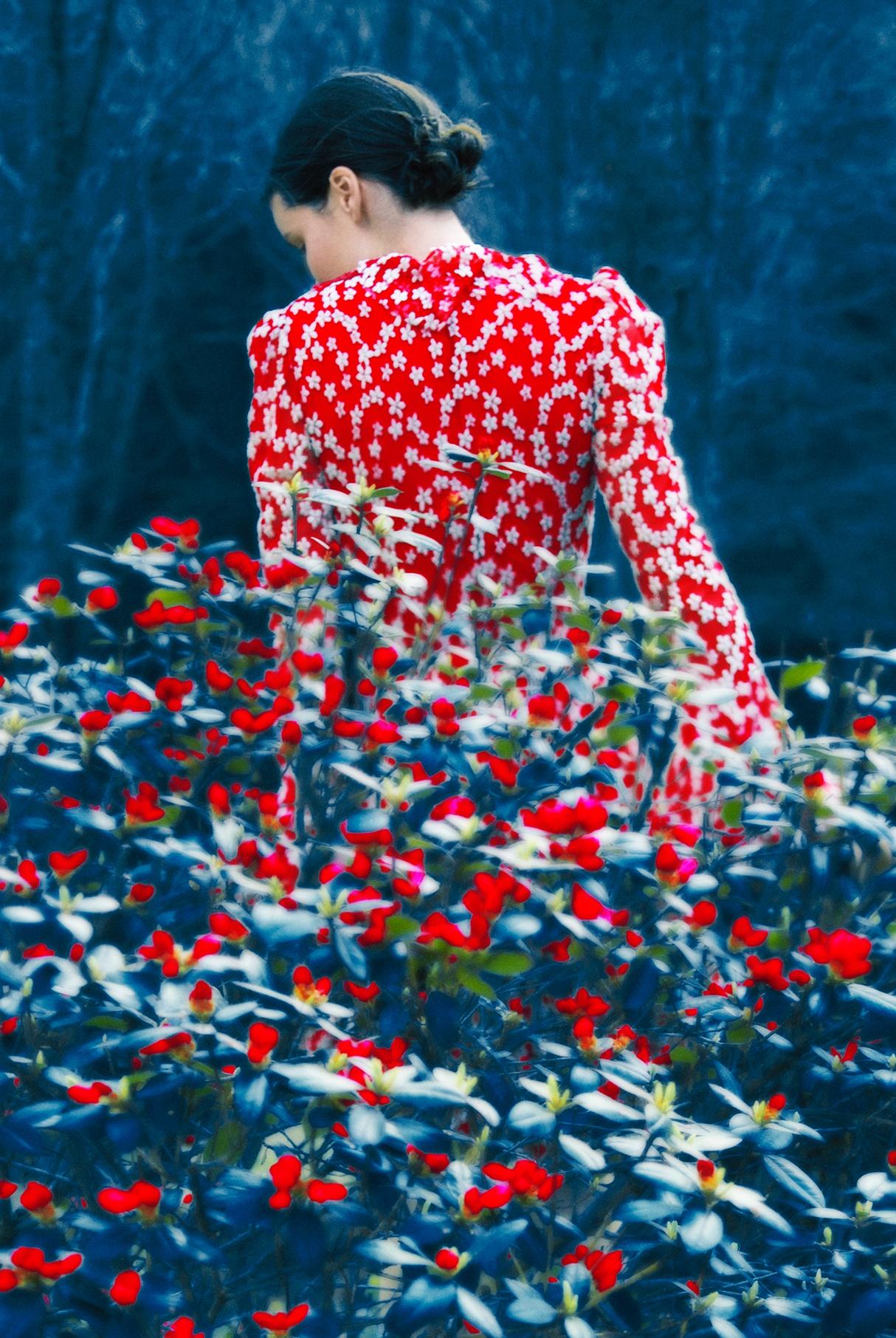 Not Titled Yet – Erik Madigan Heck, Fashion, Woman, Landscape, Nature, Dress For Sale 1