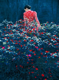 Non intitulé mais pourtant Erik Madigan Heck, mode, femme, paysage, nature, robe