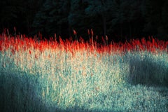 Red Grasses, The Garden Erik Madigan Halsausschnitt, Mode, Farbe, Landschaft, Natur