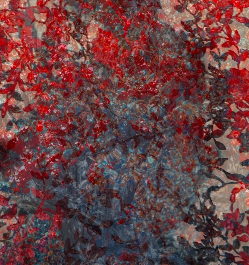 Erik MADIGAN HECK (*1983, Vereinigte Staaten)
Der Wandteppich, 2022
Chromogener Druck
137.2 x 107.6 cm (54 x 42 3/8 in.)
Auflage: 5 Exemplare plus 2 Probedrucke
Nur drucken
Signiert von der Künstlerin

Der aus Excelsior, Minnesota, stammende Erik