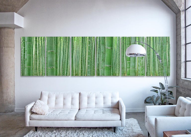 Bamboo Forest (6 frames) - abstract nature observation of Japanese grove - Print by Erik Pawassar