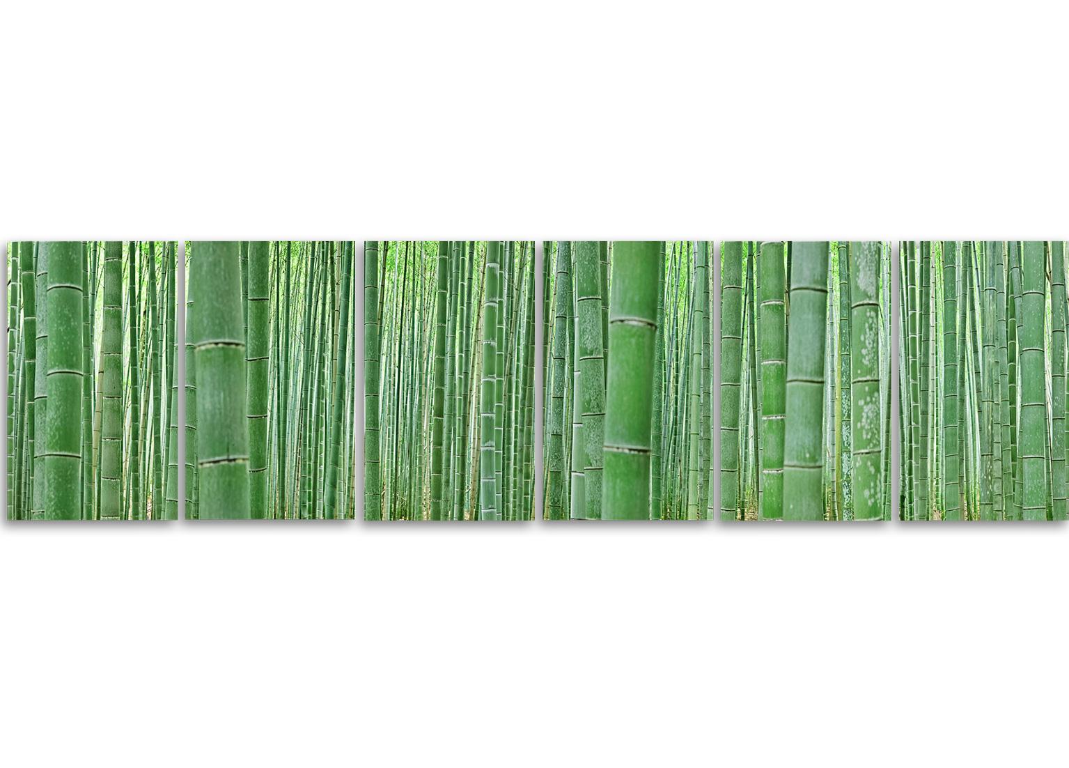 Bambou Forest - observation de la nature abstraite d'un arbore de bambou japonais emblématique - Contemporain Photograph par Erik Pawassar