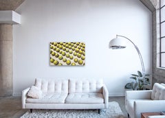 Cactus  - photographie grand format du paysage emblématique des cactus du désert 27" x 40"