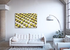 Kakteen  Großformatige Fotografie ikonischer Wüsten Kakteen-Landschaft 48" x 72"