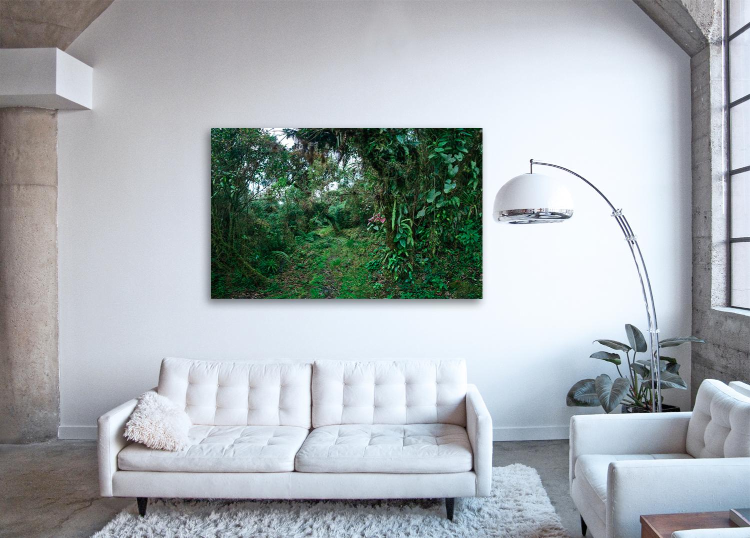 Cloud Forest I  - large format photograph of fantastical tropical rainforest - Photograph by Erik Pawassar