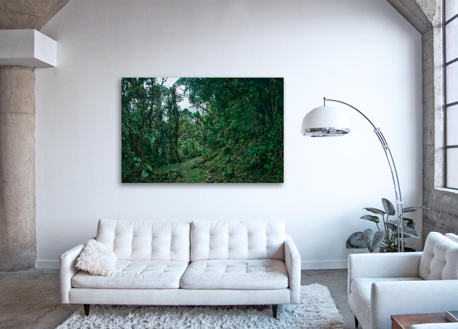 Cloud Forest II  -large format photograph of fantastical tropical rainforest - Contemporary Print by Erik Pawassar