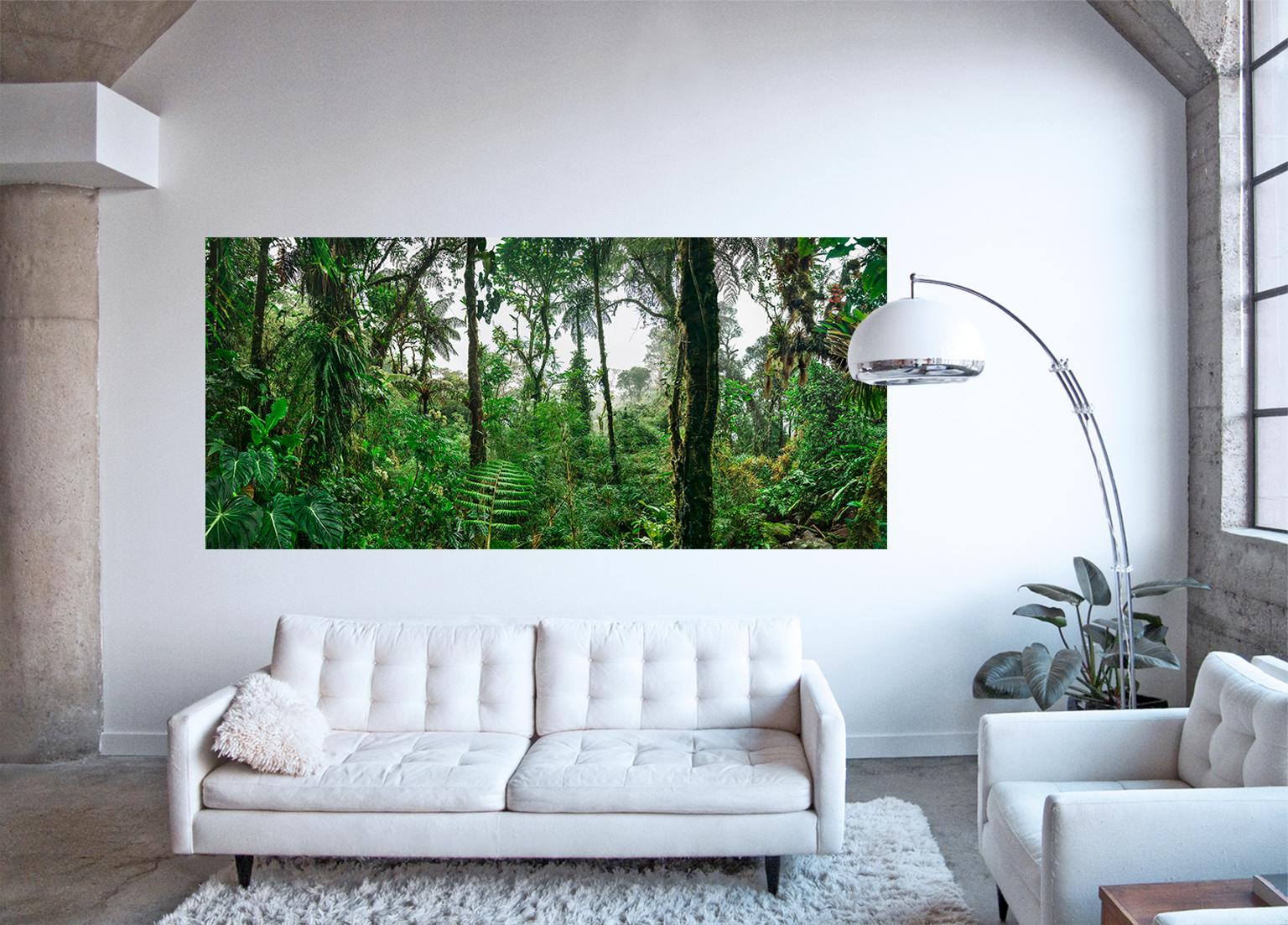 Wolkenwälder III  Großformatige Fotografie eines fantastischen tropischen Regenwaldes (Zeitgenössisch), Print, von Erik Pawassar