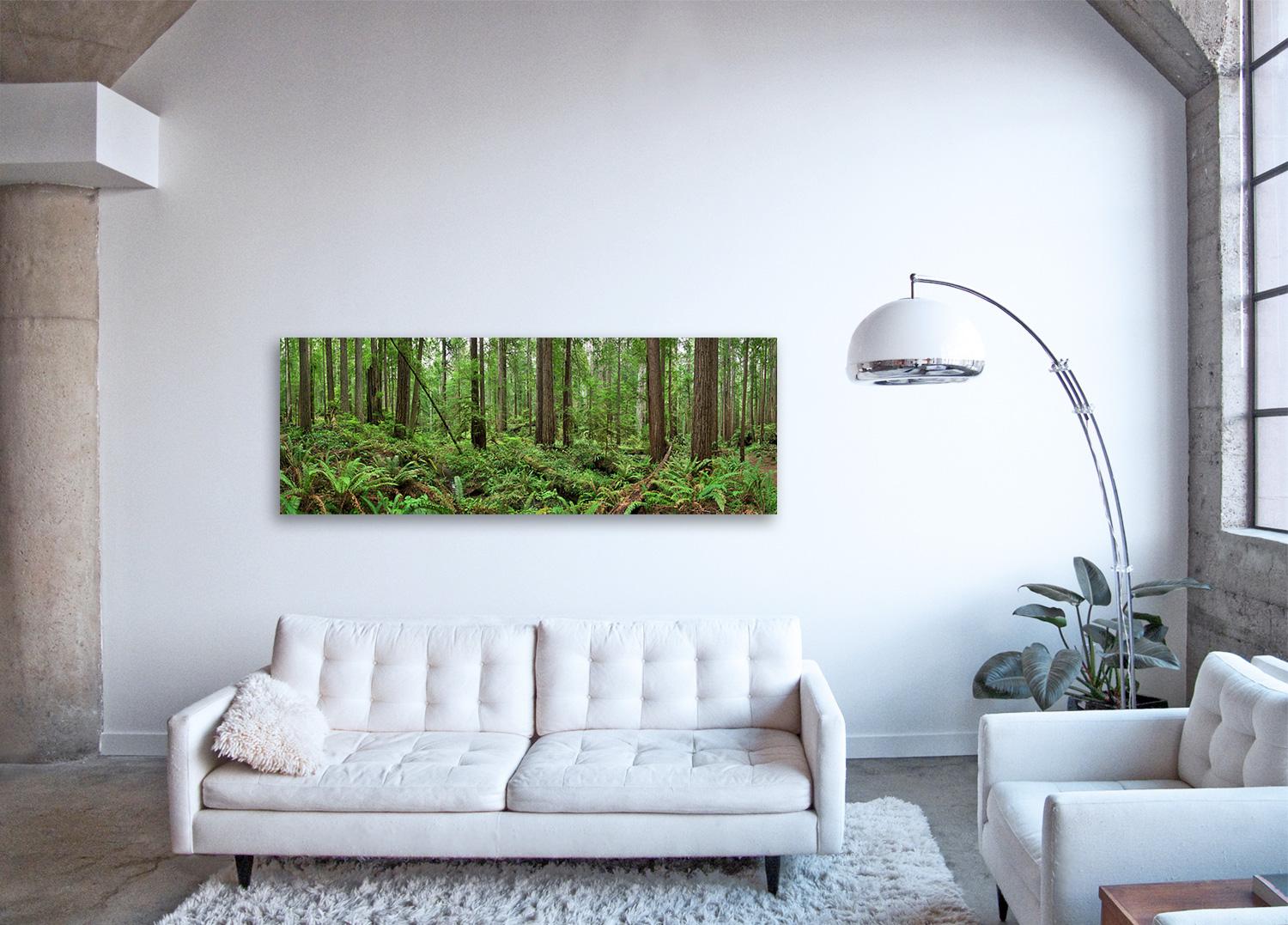 Redwoods – Großformatige Naturbeobachtungs Panorame aus grünen Rotholz – Print von Erik Pawassar