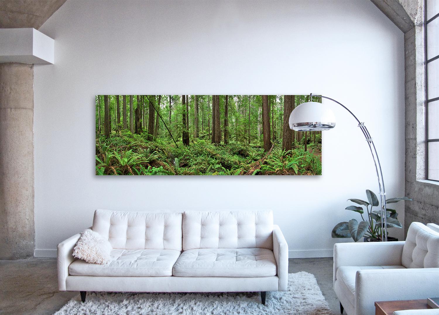 Redwoods - panorama di osservazione naturalistica di grande formato di una foresta di sequoie verdi - Print Contemporaneo di Erik Pawassar