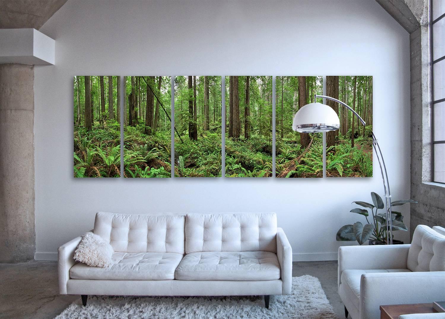 Redwoods (framed) - large format nature observation panorama of redwoods forest - Contemporary Photograph by Erik Pawassar