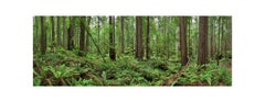 Landscape Photography