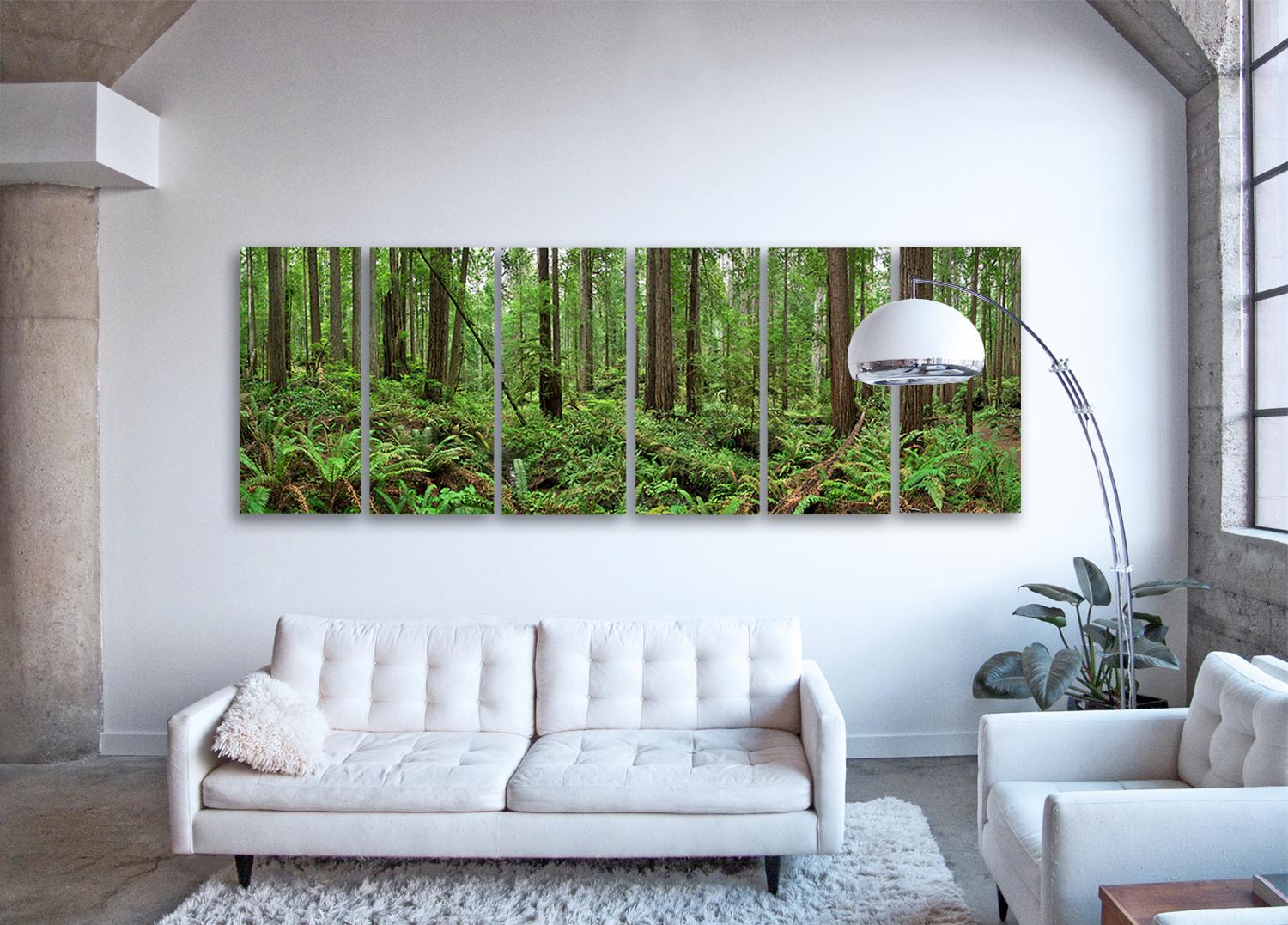 Redwoods (6 panneaux de verre) - panorama de nature abstraite grand format  - Print de Erik Pawassar