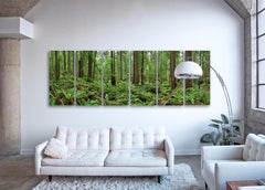 Redwoods (6 glass panels) - large format abstract nature forest panorama