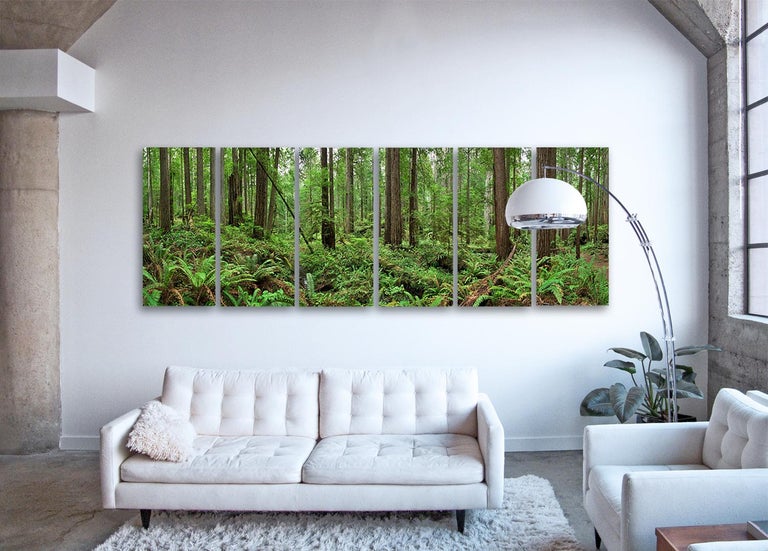Redwoods - large format nature forest panorama in six individual glass panels - Print by Erik Pawassar
