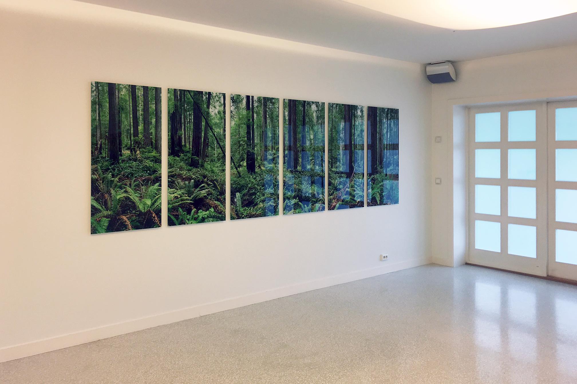 Redwoods (6 glass panels) - large format abstract nature forest panorama  - Brown Landscape Print by Erik Pawassar