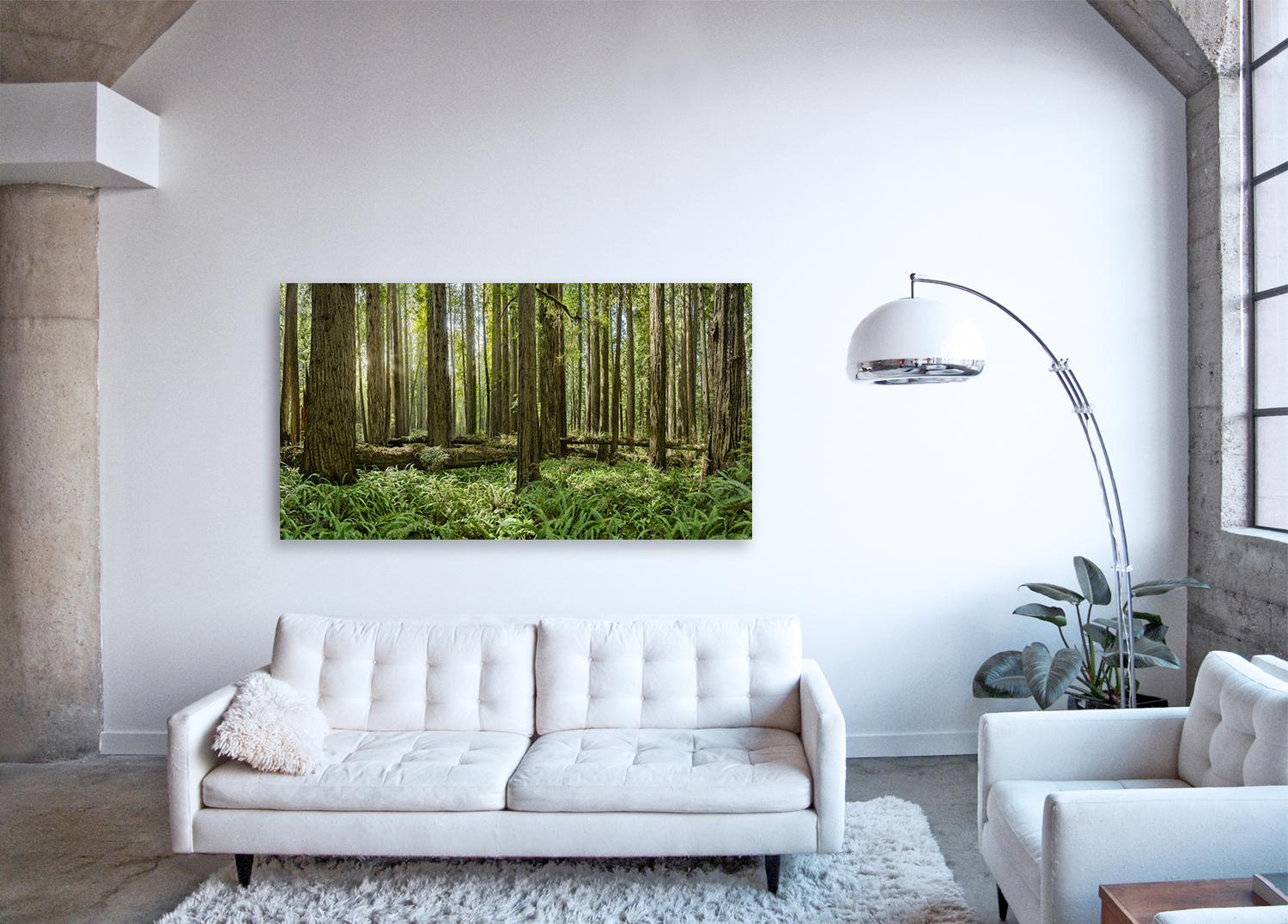 Redwoods Study II - panorama di osservazione di grande formato di una foresta di sequoie verdi - Landscape Print Nero di Erik Pawassar