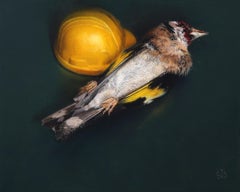 Exhausted - 21st Century Contemporary Realistic Still life Painting of a Bird