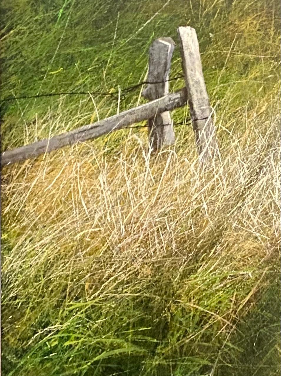 Walking Path- Zeitgenössische Landschaftsmalerei des 21. Jahrhunderts eines Wanderweges im Angebot 1