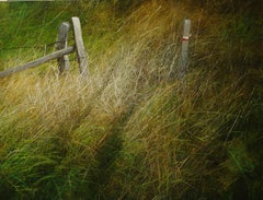 Walking Path- Zeitgenössische Landschaftsmalerei des 21. Jahrhunderts eines Wanderweges