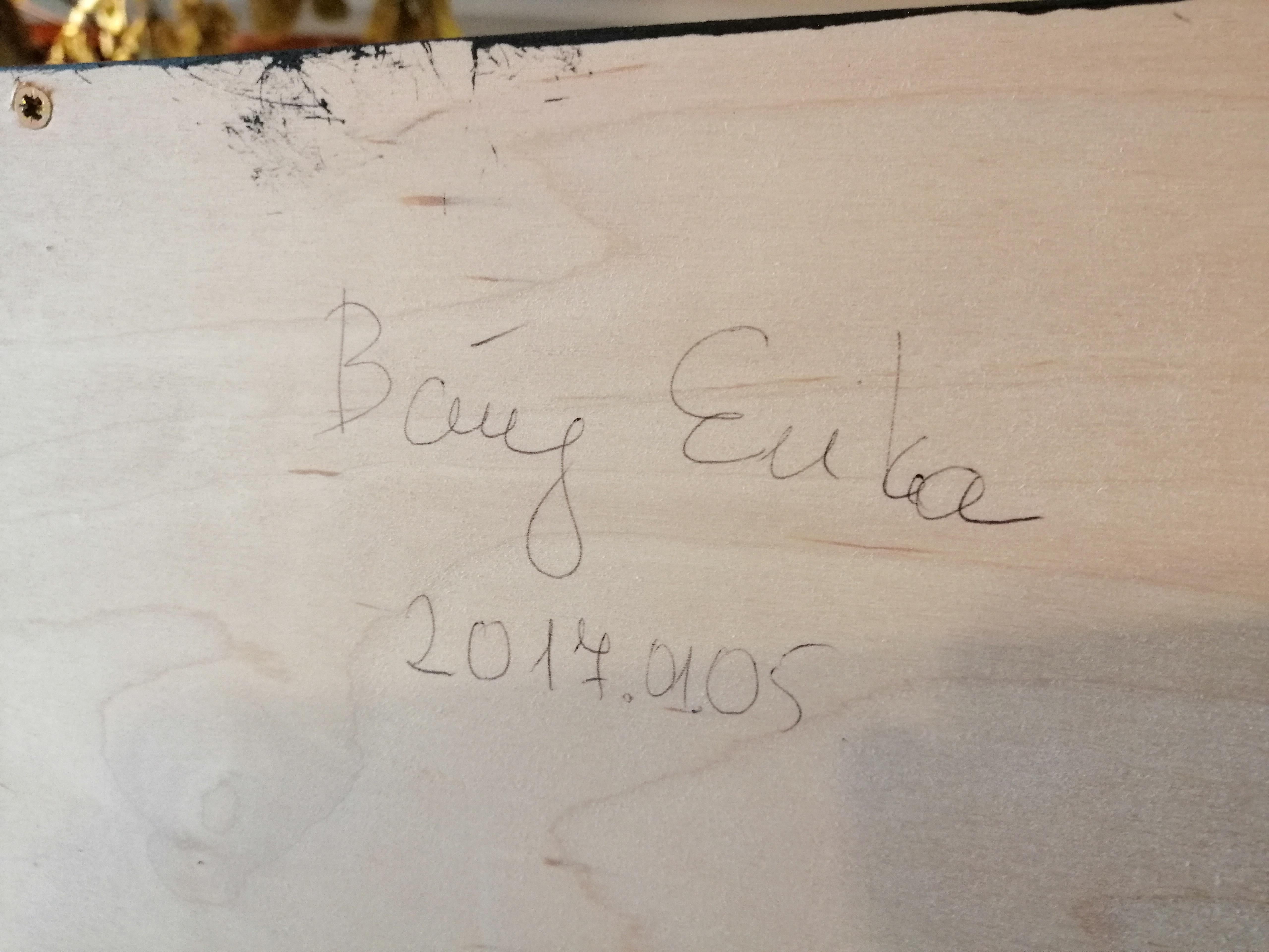 Pintar con Técnica Plástica por Erika Baktay en venta 7