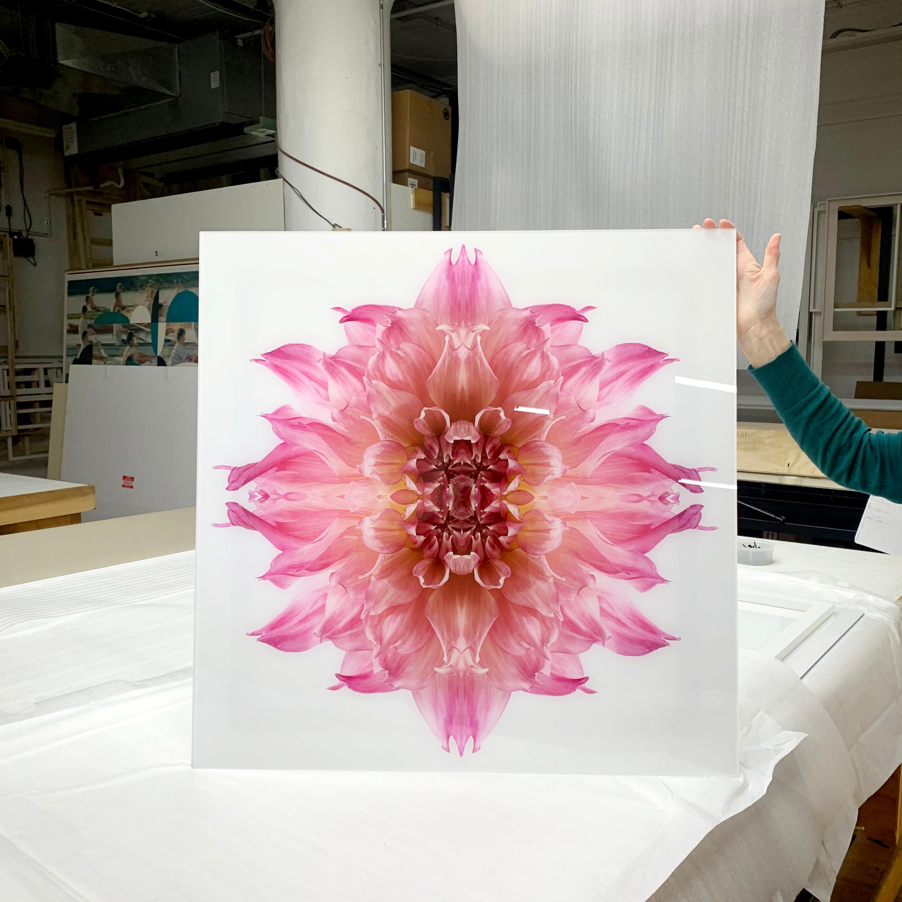 This print features the playful relationship between natural forms and botanicals. In this image Erin uses the natural composition of the pink Dahlia, and her own collage work, to create a hypnotic mandala with the floral. Some describe it as a