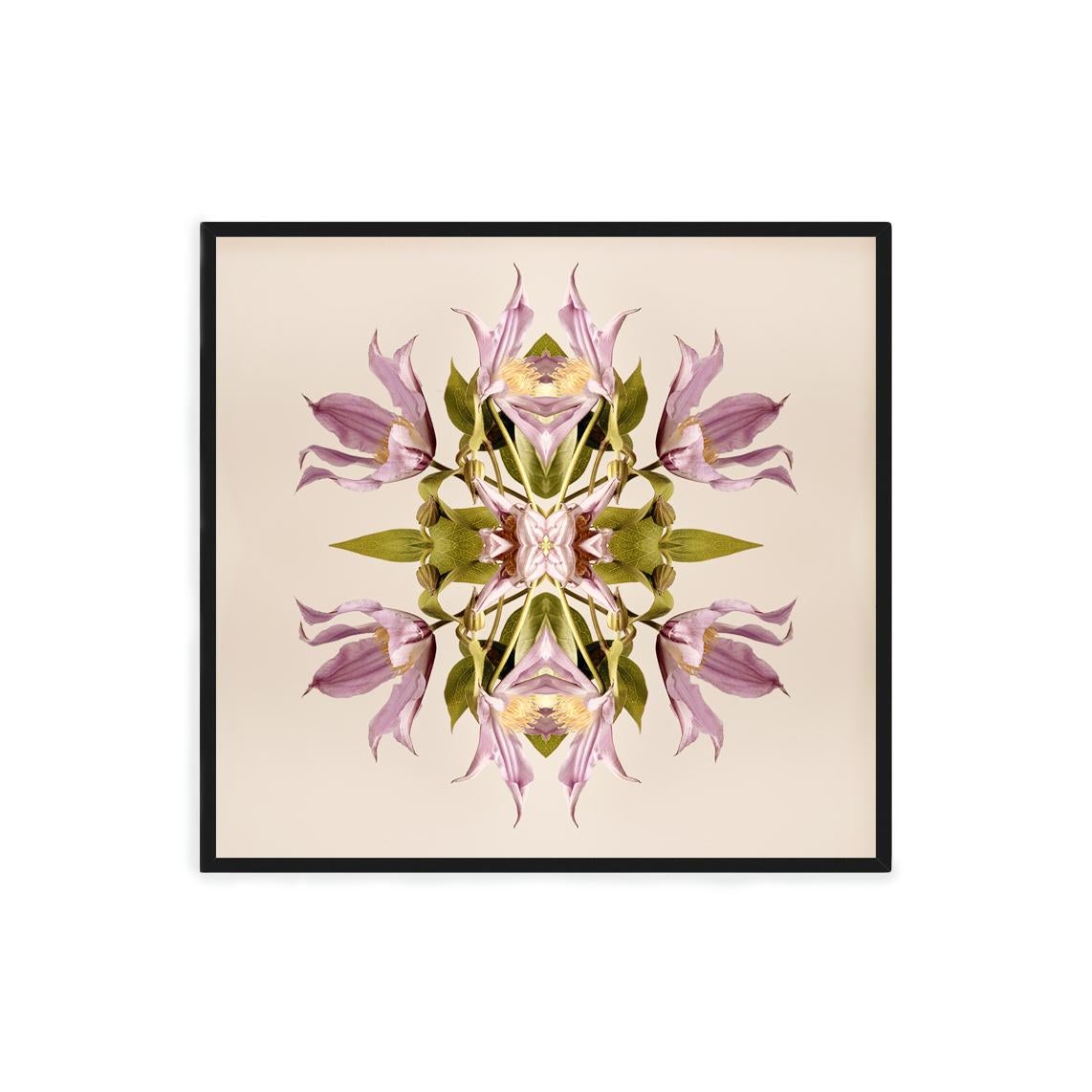 This print features the playful relationship between natural forms and botanicals. In this image Erin uses the natural composition of the purple and lavender flowers, and her own collage work, to create a hypnotic mandala with the floral. Some
