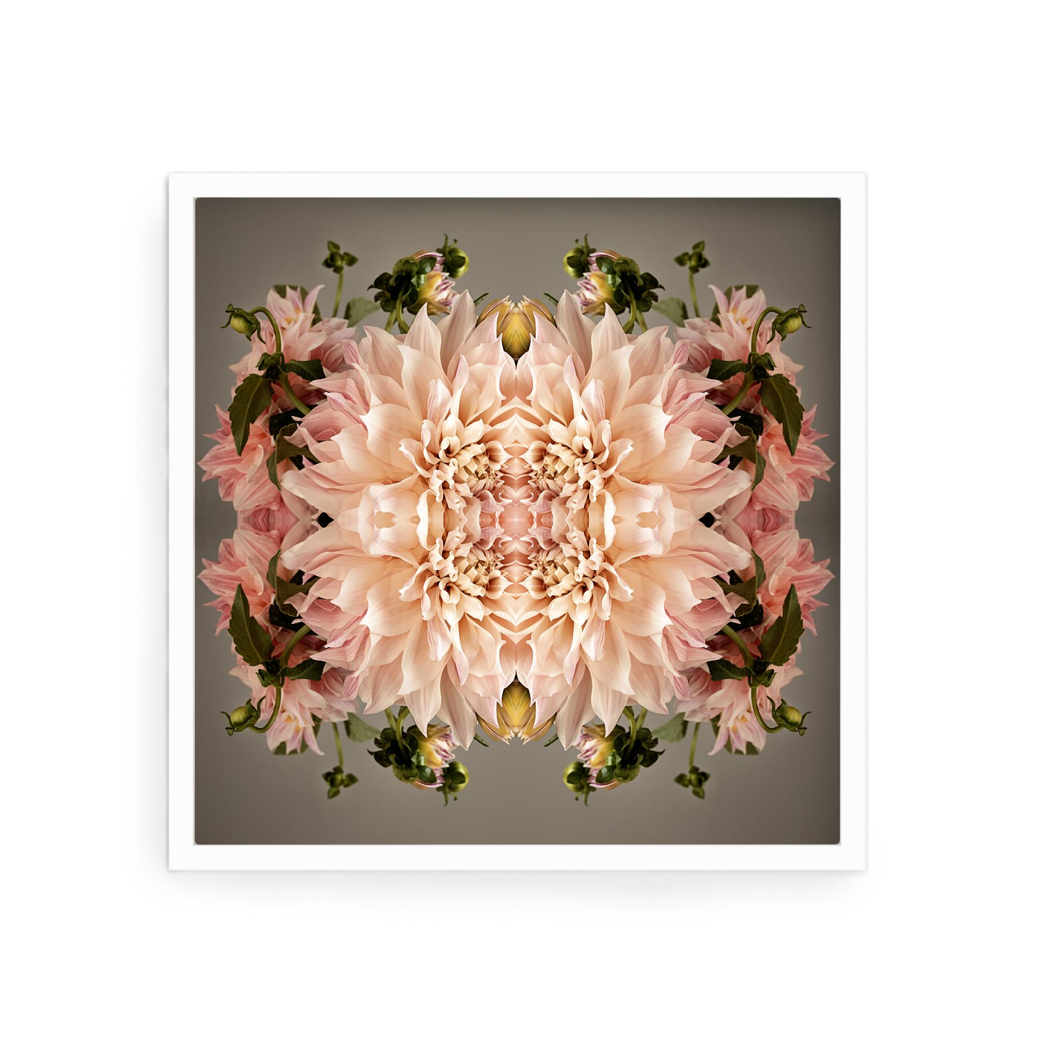 This print features the playful relationship between natural forms and botanicals. In this image Erin uses the natural composition of the pinks, blush and greens of the Peony, and her own collage work, to create a hypnotic mandala with the