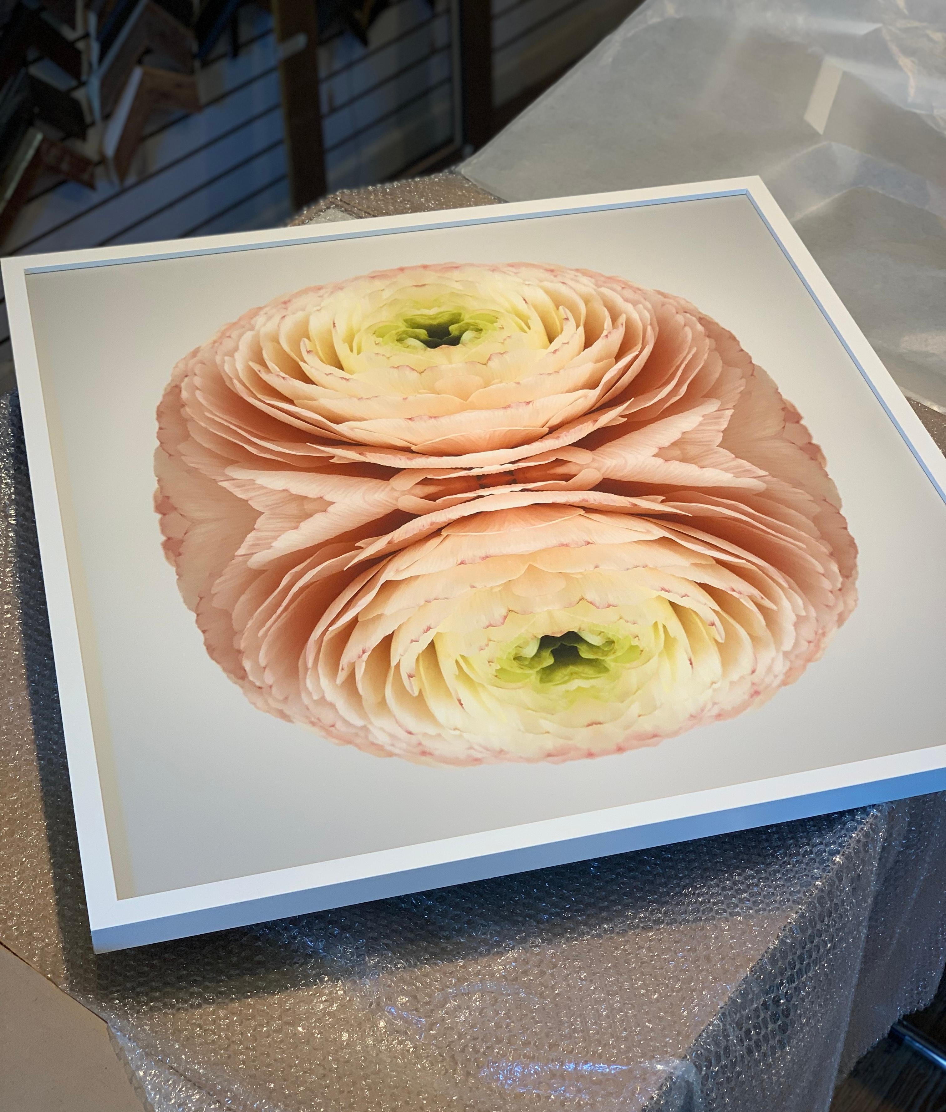 This print features the playful relationship between natural forms and botanicals. In this image Erin uses the natural composition of the pink and green ranunculus, and her own collage work, to create a hypnotic mandala with the floral. Some