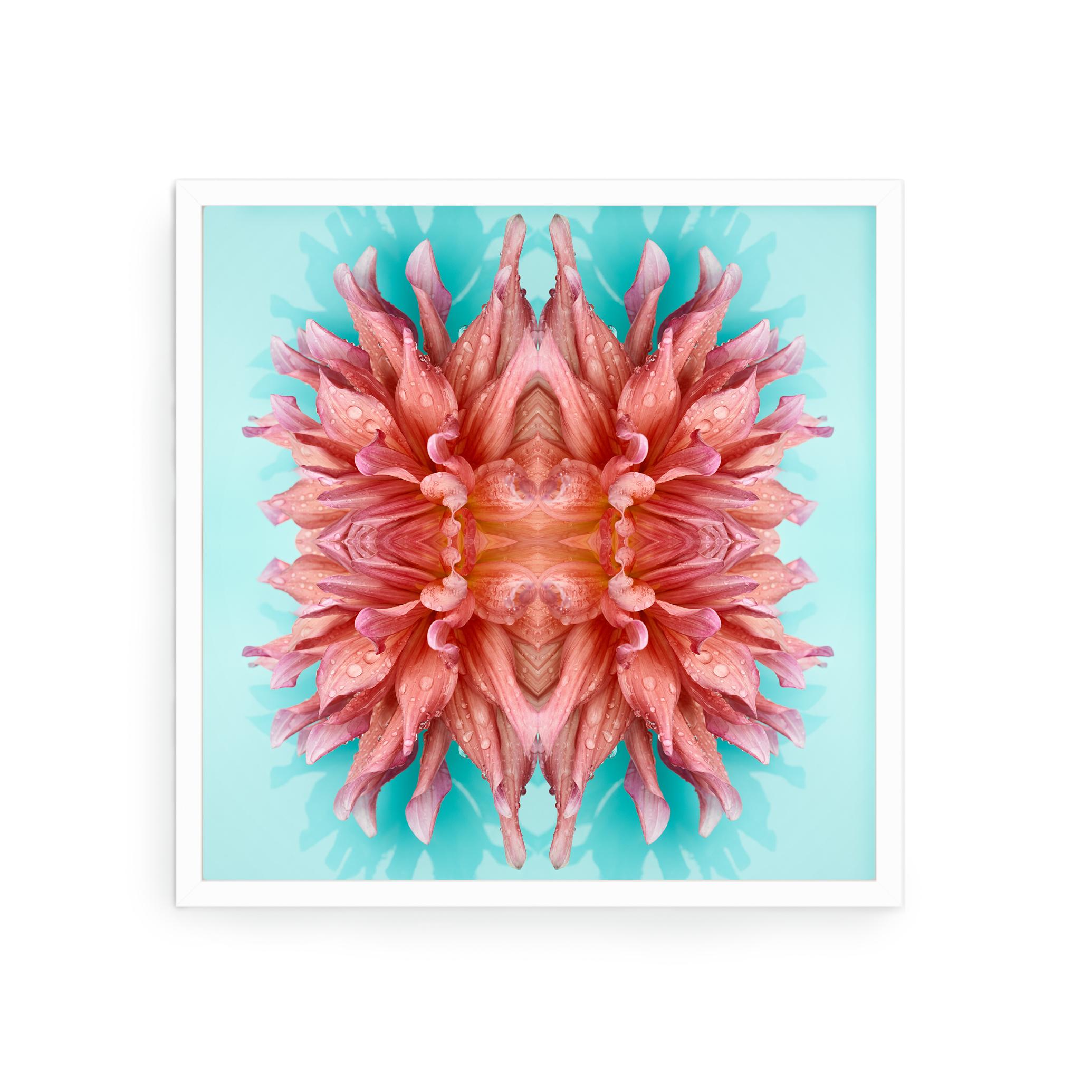 This print features the playful relationship between natural forms and botanicals. In this image Erin uses the natural composition of the pink dahlia, and her own collage work, to create a hypnotic mandala with the floral. Some describe it as a
