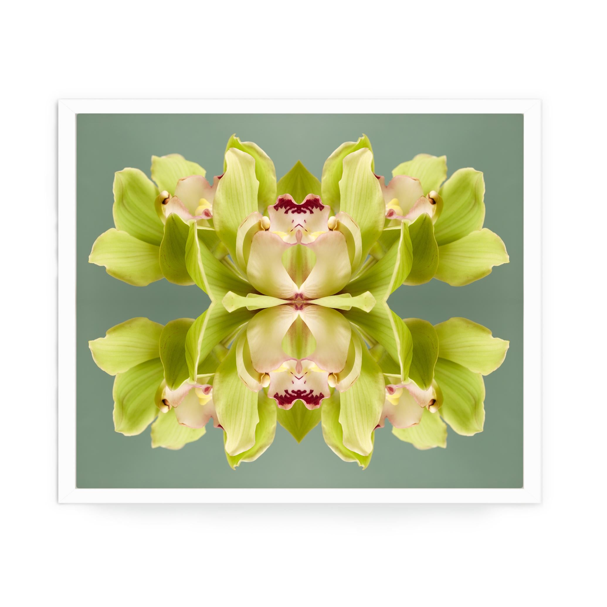 This print features the playful relationship between natural forms and botanicals. In this image Erin uses the natural composition of the lime green orchids, and her own collage work, to create a hypnotic mandala with the floral. Some describe it as