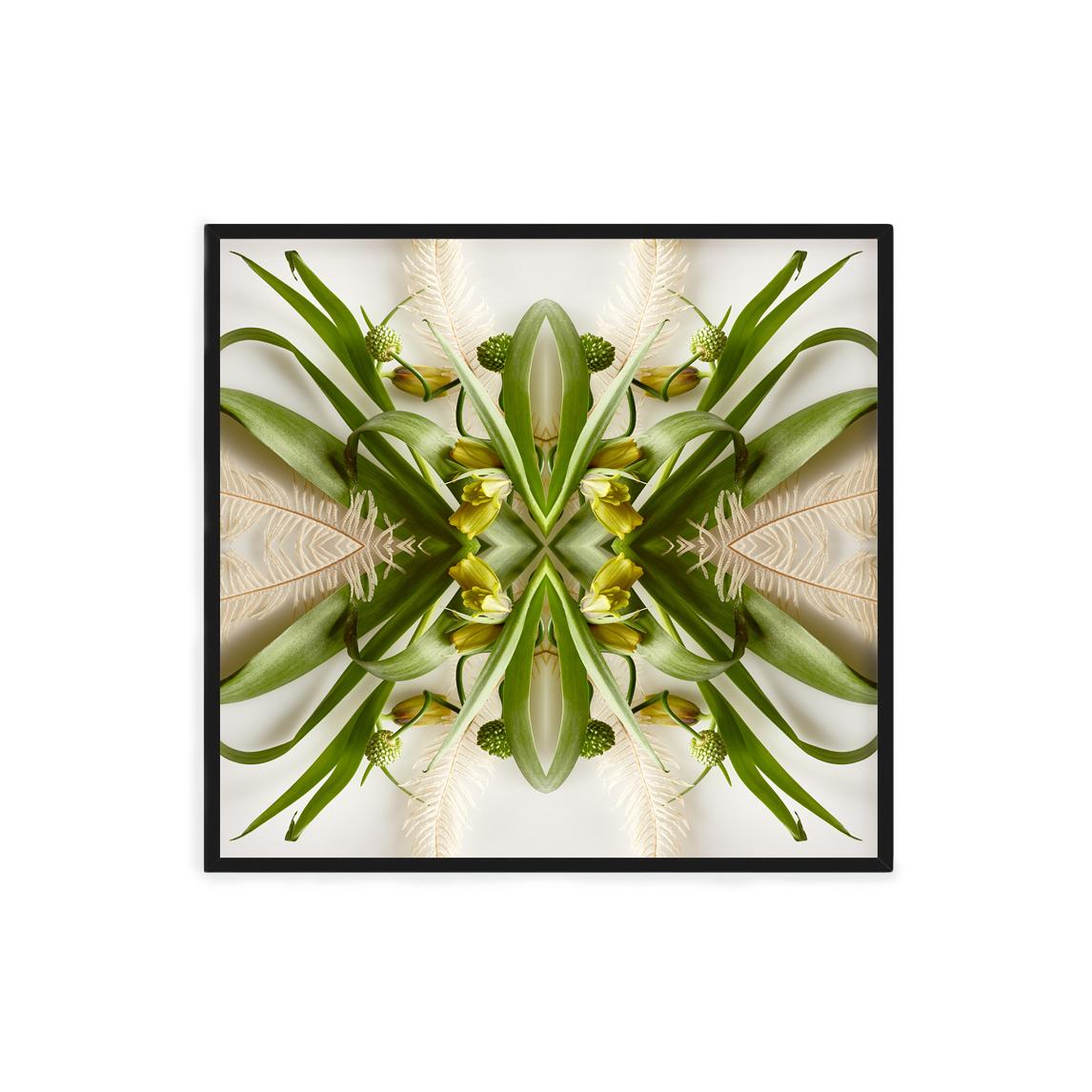 This print features the playful relationship between natural forms and botanicals. In this image Erin uses the natural composition of the yellow and green fritillary, and her own collage work, to create a hypnotic mandala with the floral. Some
