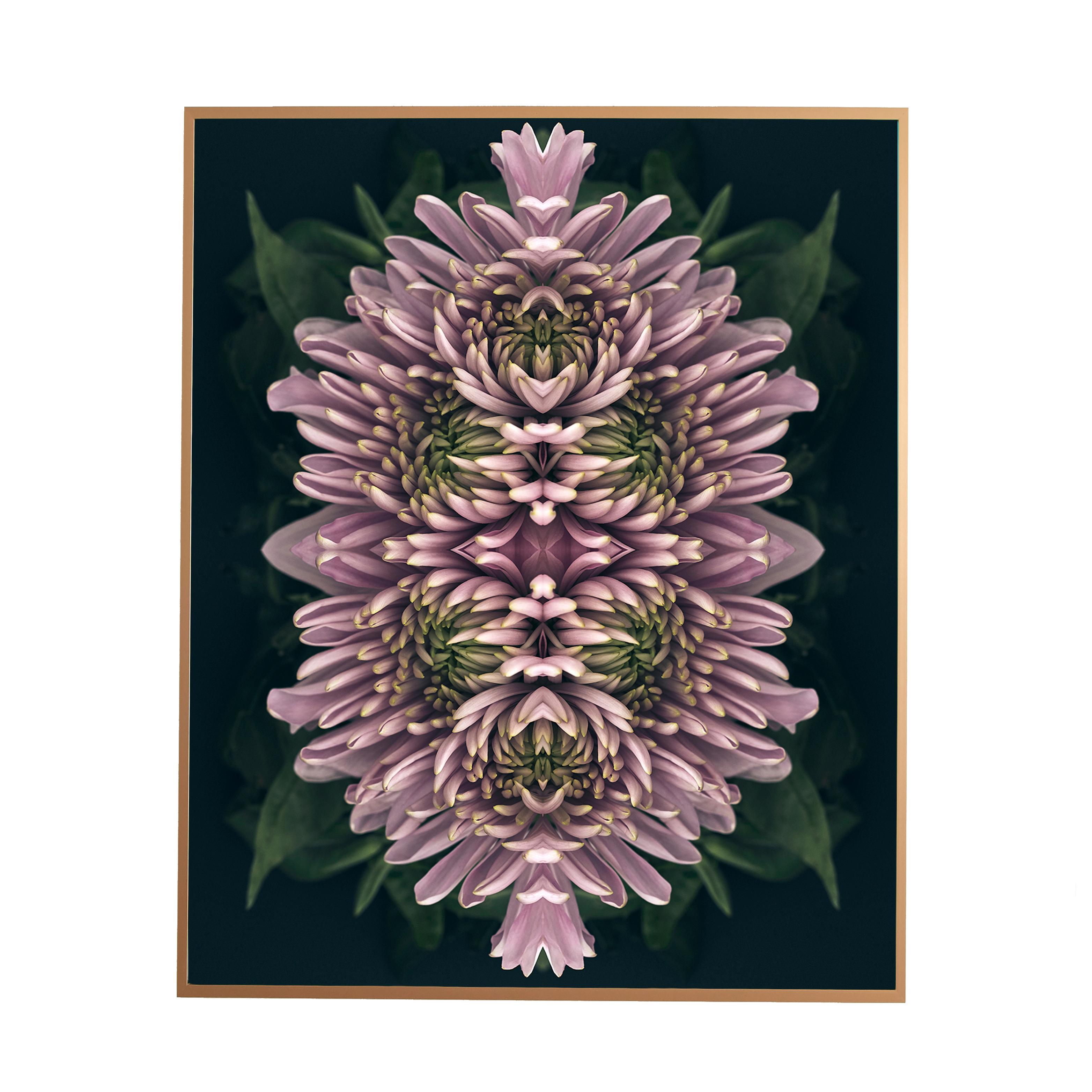 Dieser Druck zeigt die spielerische Beziehung zwischen natürlichen Formen und Pflanzen. In diesem Bild nutzt Erin die natürliche Komposition der violetten Blumen und ihre eigene Collagearbeit, um ein hypnotisches Mandala mit den Blumen zu schaffen.