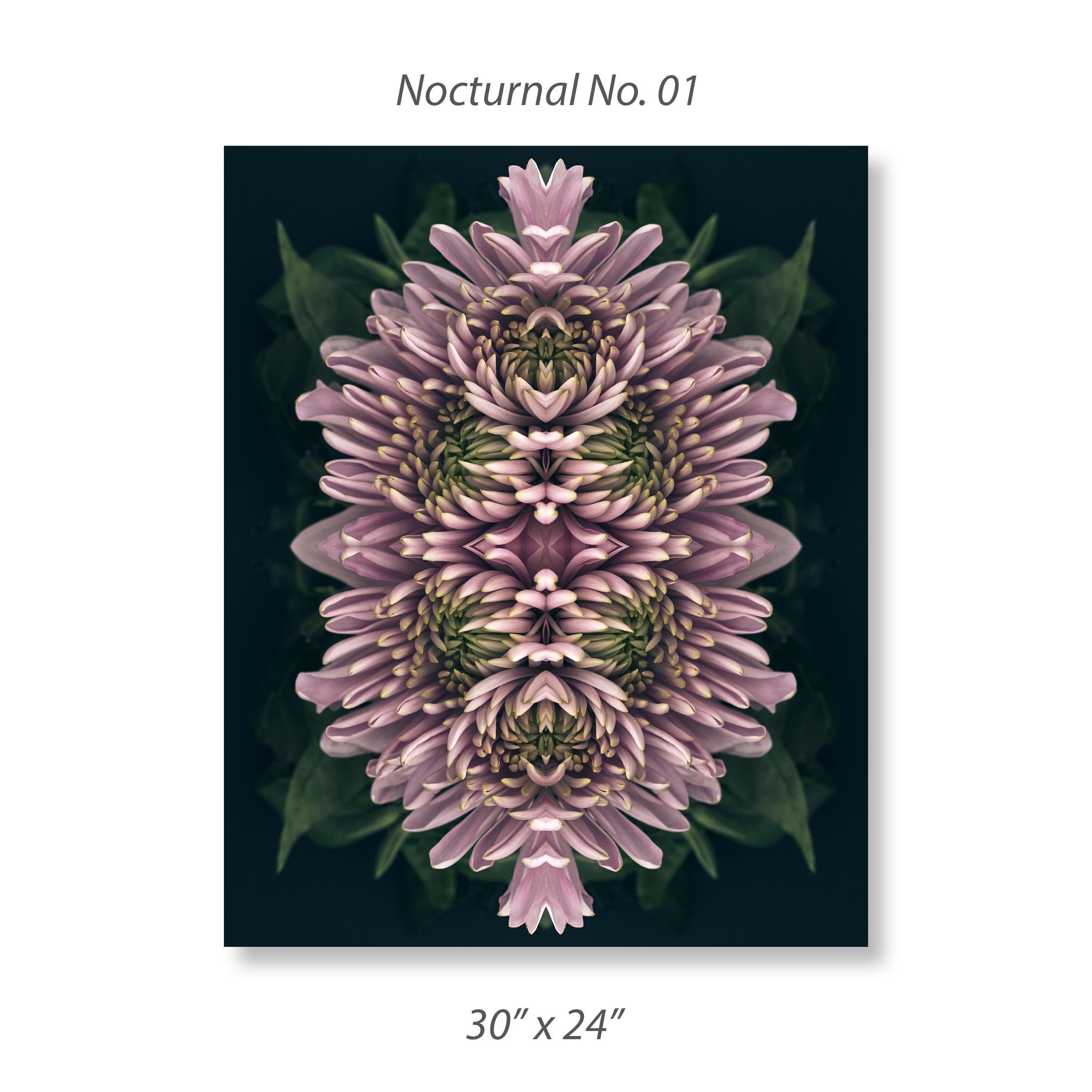 This print features the playful relationship between natural forms and botanicals. In this image Erin uses the natural composition of the purple flowers, and her own collage work, to create a hypnotic mandala with the floral. Some describe it as a