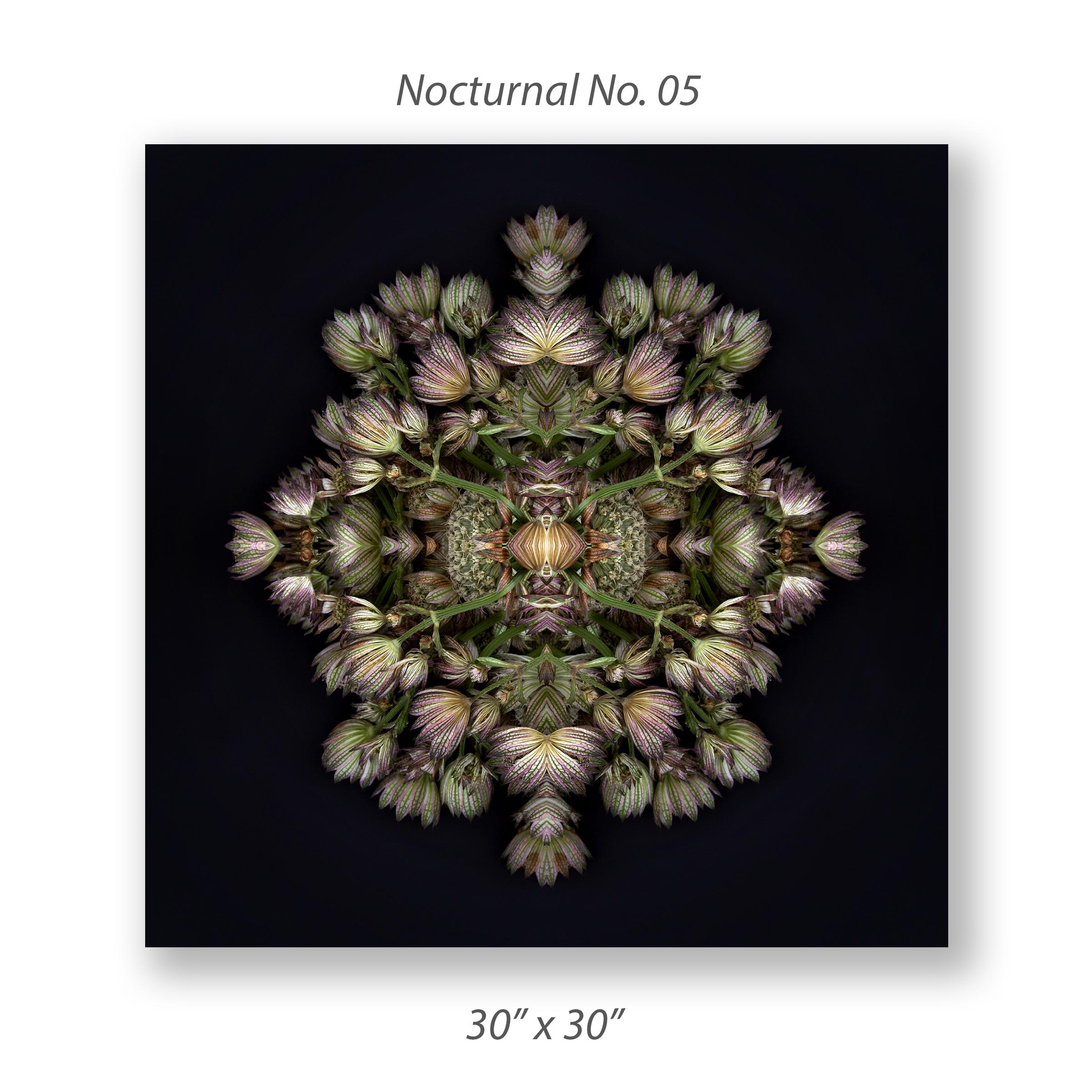 Nocturnal No. 05 For Sale 1