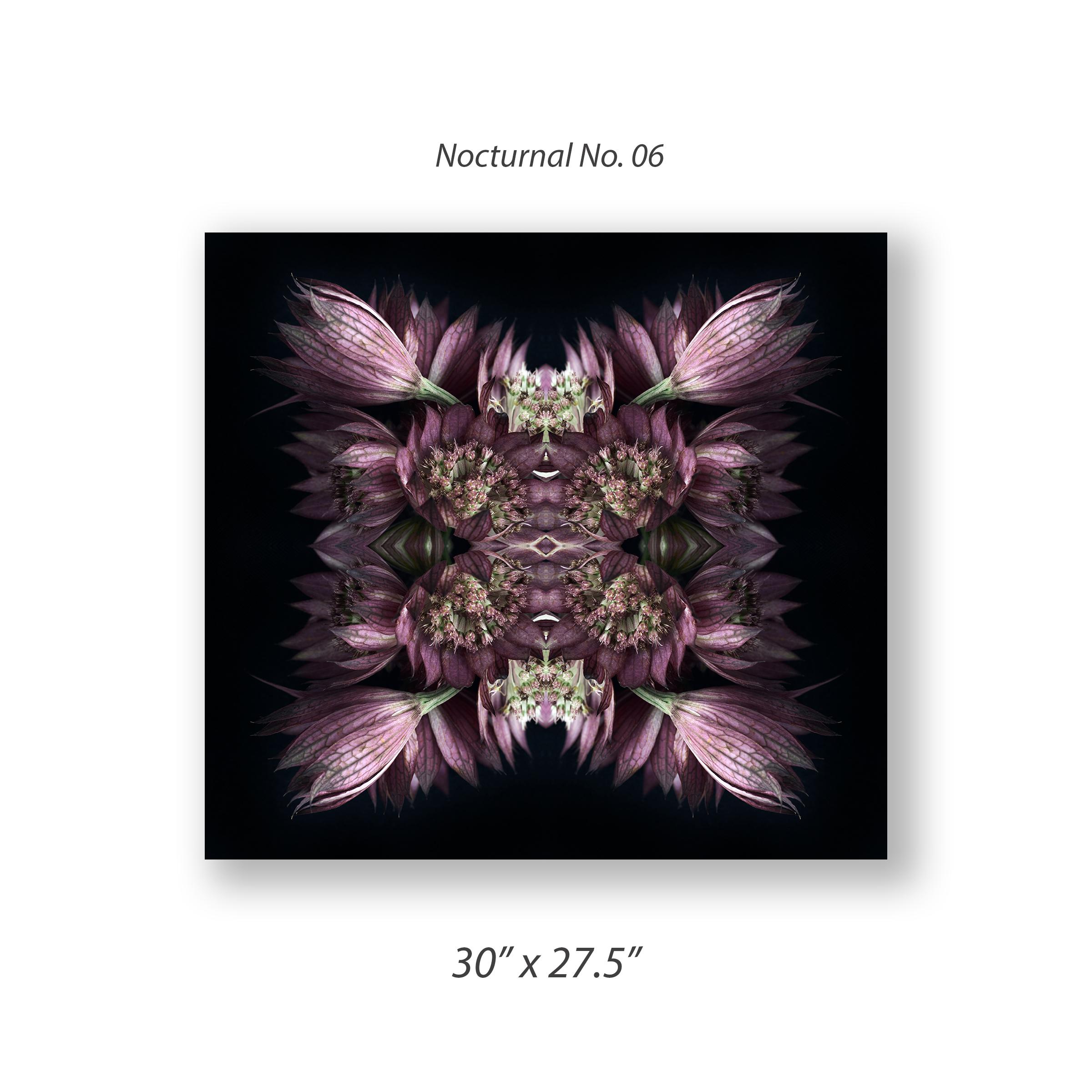 Dieser Druck zeigt die spielerische Beziehung zwischen natürlichen Formen und Pflanzen. In diesem Bild nutzt Erin die natürliche Komposition der violetten Blumen und ihre eigene Collagearbeit, um ein hypnotisches Mandala mit der Blume zu schaffen.